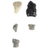 Image 3 : Collection of Native American Artifacts