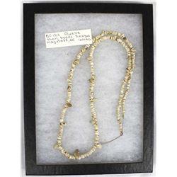 Prehistoric Sinagua Culture Olivella Shell Beads