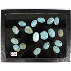 Collection of Turquoise Slab Cabochons, Age & Origin Unknown
