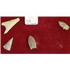 Image 2 : Prehistoric Native American Collectibles