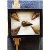 Image 7 : 5 Stone Arrowheads, Age & Origin Unknown