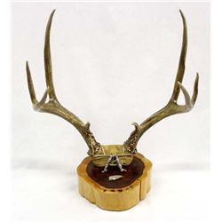 Native American Deer Antler Mount Flute Holder