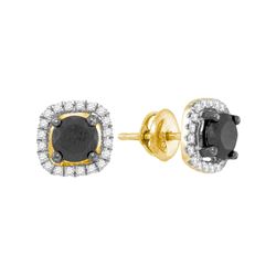 1 & 7/8 CTW Womens Round Black Color Enhanced Diamond Solitaire Earrings 10kt Yellow Gold - REF-61T4