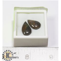 GENUINE CANADIAN AMMOLITE