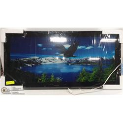 LIGHT UP EAGLE MIRRORED PICTURE