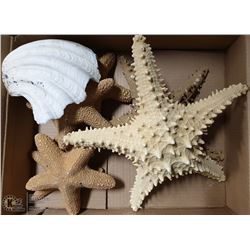 BOX WITH STARFISH/SHELL