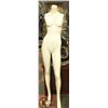 Image 1 : FEMALE MANNEQUIN NO ARMS