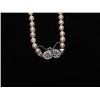 Image 2 : Cultured Salt Water Pearl Necklace