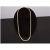 Image 1 : Cultured Salt Water Pearl Necklace