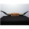 Image 1 : Long Horns with Tooled Leather Mount