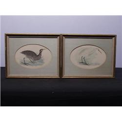 19th C. Tinted Engravings