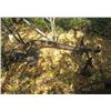 Image 1 : Old Walk Behind Potato Digger