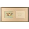 Image 1 : Dumbo and Timothy Q. Mouse production cel and drawing from Dumbo