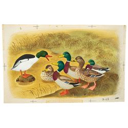 Gustaf Tenggren watercolor painting of a duck family from Farm Stories