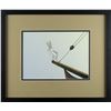 Image 2 : Bugs Bunny production cel from Buccaneer Bunny