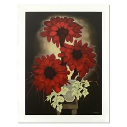 Daisy Red by Barnum, Brenda