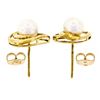 Image 3 : 14kt Yellow Gold 6.6mm Round Pearl Open Stud Earrings