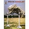 Image 1 : Hal Leonard - Beck Odelay