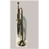 Image 2 : Jupiter Trumpet