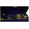 Image 3 : Belmonte Trumpet Case in Green