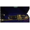Image 3 : Belmonte Trumpet Case in Green