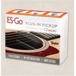 Taylor GS Mini ES Go Pick Up