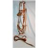 Image 1 : Brass mtd. striped bit w/headstall & reins