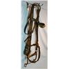 Image 1 : Al Furstnow studded bridle, 3 markings, near mint