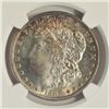 Image 3 : 1888-S $1 Morgan Silver Dollar Coin NGC MS64