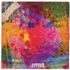 Image 1 : The Litter '$100 Fine' Promo Album