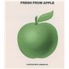 Image 1 : Paul McCartney and Wings 1971 Apple Promo Leaflet