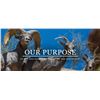 Image 2 : Wild Sheep Foundation Life Membership