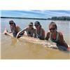 Image 8 : 8 hour guided Sturgeon fishing trip for (4) people