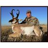 Image 1 : 3 day Alberta Antelope Hunt for (1) hunter