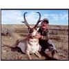 Image 2 : 3 day Alberta Antelope Hunt for (1) hunter