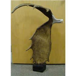 Carved Moose Antler
