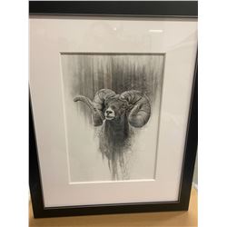 Bighorn Sheep Pencil Fade Original Framed