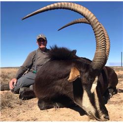 10 Day- Double Sable Hunt or two hunters