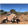 Image 2 : 7- Day Safari for Two Hunters w/ Lucca African Safaris