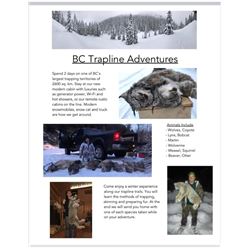 BC Trapline Experience