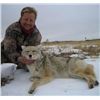Image 2 : 3 day Alberta Coyote Hunt