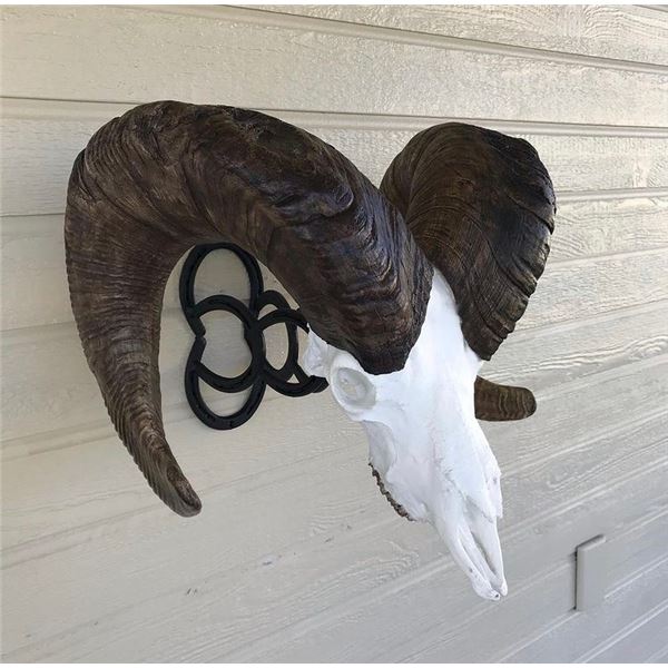 (1) Black - Iron Mountain European Skull Hanger