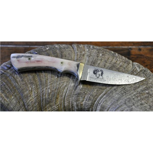 Don Stevenson Sheep Horn Banquet Knife