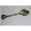 Image 1 : An 800 Silver Souvenir Spoon