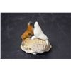 Image 2 : A Shell Art