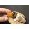 Image 5 : A Shell Art