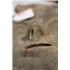 Image 13 : A Concrete Mask