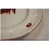 Image 8 : An Ironstone Chicken Plate