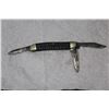 Image 2 : A Bone Handle Knife