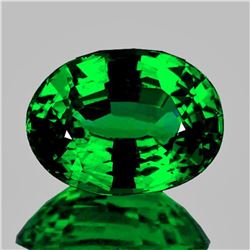 Natural Emerald Green Tsavorite Garnet {Flawless-VVS}